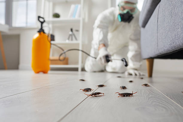 Commercial Kitchen Cockroach Control in Mars